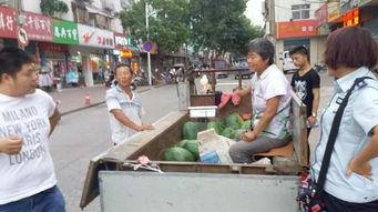 吃瓜群众改行卖瓜了,一场身份转变的奇妙之旅