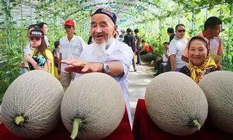 西宁哈密瓜哪吃,品味甘甜，探寻美味之源