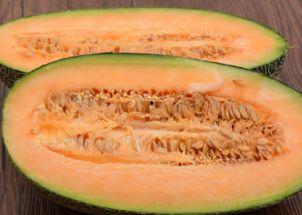 西宁哈密瓜哪吃,品味甘甜,探寻美味之源