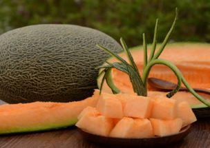 西宁哈密瓜哪吃,品味甘甜,探寻美味之源