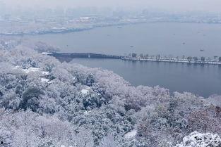吃瓜断桥残雪,一场视觉盛宴的解读