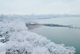 吃瓜断桥残雪,一场视觉盛宴的解读