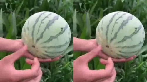 吃瓜破解官网,带你走进神秘的网络世界