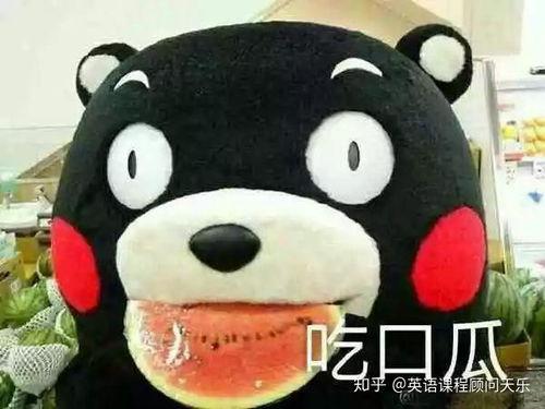 不准吃瓜群众视频,揭秘“不准吃瓜群众”视频背后的真相与争议