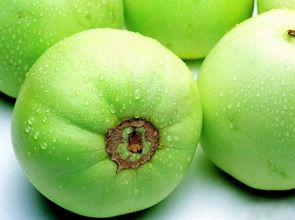 吃的梨瓜,探寻夏日清凉新宠