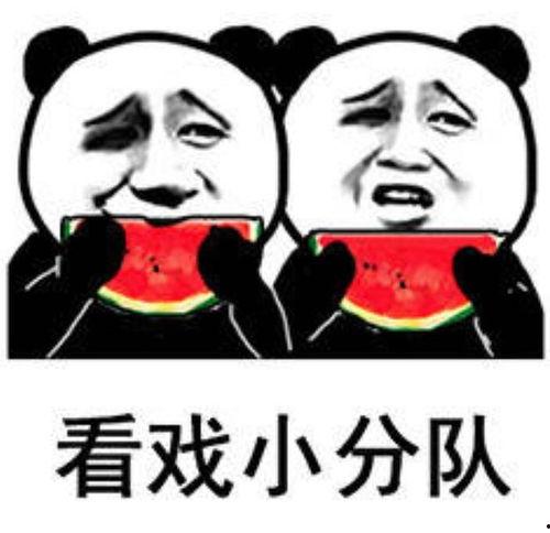 看戏且吃瓜,一场别开生面的看戏吃瓜盛宴