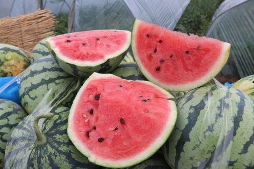 解渴吃瓜,夏日消暑新风尚