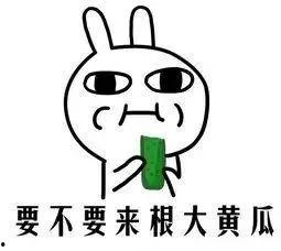 吃瓜吃到苦的句子,揭秘网络舆论的真相与反思