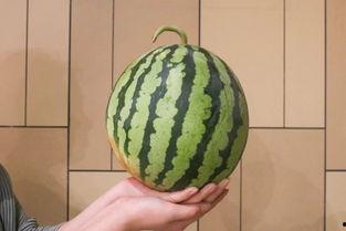 全网吃瓜最新,最新吃瓜事件大揭秘！