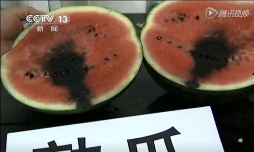 带你吃瓜科普视频,吃瓜群众的趣味科普之旅