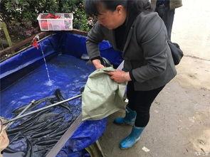 51吃瓜中心群众,揭秘娱乐圈幕后故事,群众视角下的娱乐风云