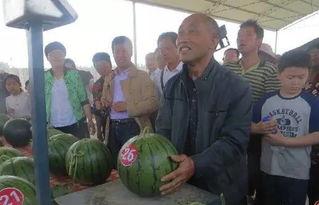 51吃瓜中心群众,揭秘娱乐圈幕后故事,群众视角下的娱乐风云