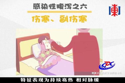 放假回家吃瓜,瓜田里的欢乐时光