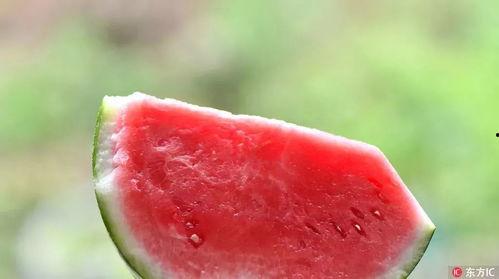 吃瓜去世,娱乐圈再掀波澜