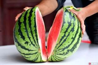 吃瓜去世,娱乐圈再掀波澜