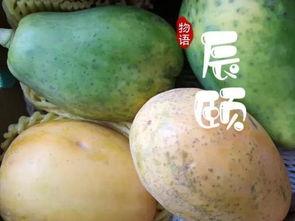 海南吃瓜爆料,揭秘当地美食背后的故事