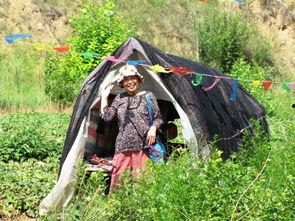 上海公关吃瓜,揭秘吃瓜背后的行业风云