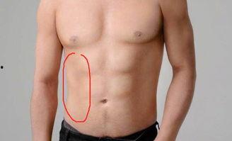 吃瓜腹肌哥,揭秘健身达人的日常饮食与健身秘诀