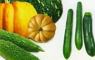 多种吃瓜的视频素材,揭秘各大热门事件背后的真相与笑料