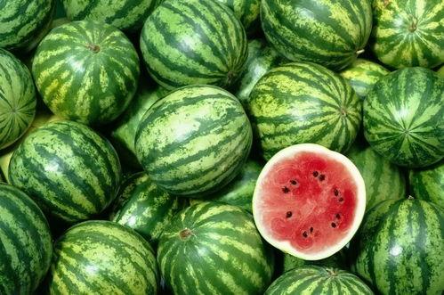 多种吃瓜的视频素材,揭秘各大热门事件背后的真相与笑料