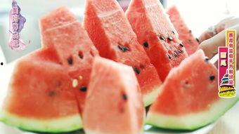 多种吃瓜的视频素材,揭秘各大热门事件背后的真相与笑料