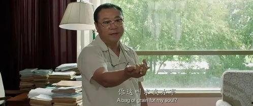 吃瓜陈局长,揭秘官场风云中的“瓜农”传奇