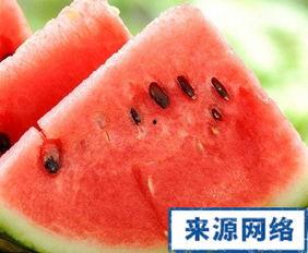 吃瓜会胖吗,吃瓜真的会让人发胖吗?揭秘瓜果热量与体重关系