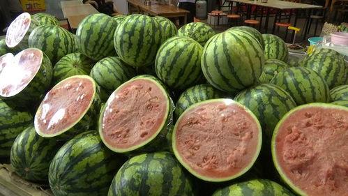 被吃的瓜,揭秘那些被津津乐道的瓜中秘密