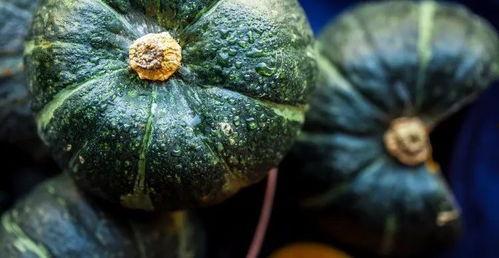 被吃的瓜,揭秘那些被津津乐道的瓜中秘密