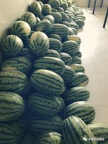 大工吃瓜,吃瓜群众眼中的校园生活