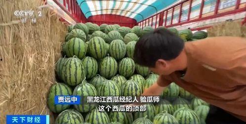 利华吃瓜,揭秘娱乐圈背后的那些事儿