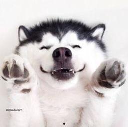 吃瓜新闻视频大全