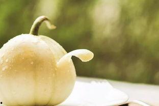 手心吃瓜,品味生活百态