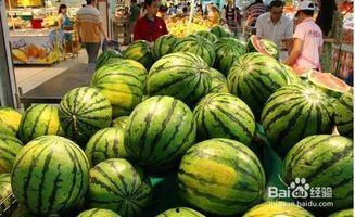 手心吃瓜,品味生活百态