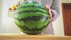 吃瓜不甜的视频