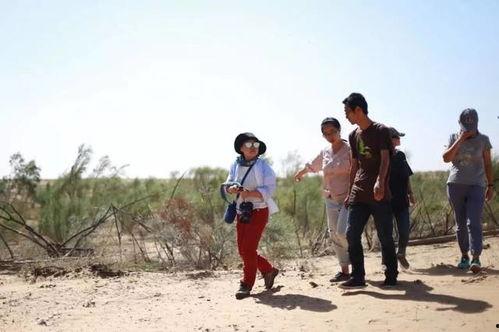 跟着导演吃瓜,跟着导演吃瓜，揭秘幕后故事